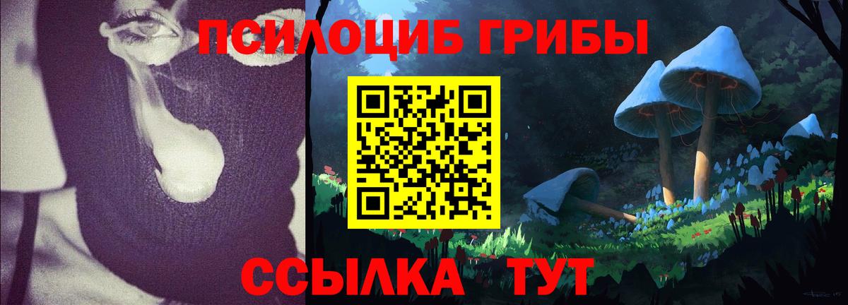 Галлюциногенные грибы Cubensis  Вход с VPN  Гагарин 
