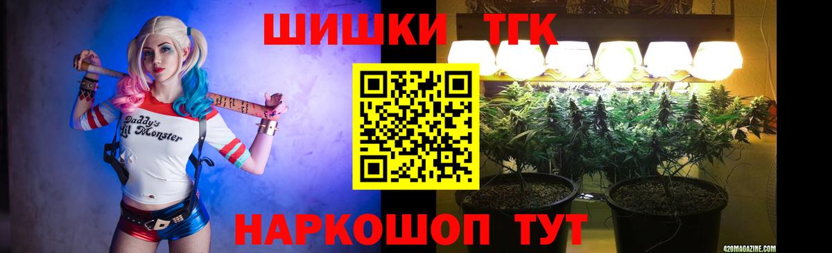 Бошки Шишки план Гагарин